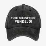 It’s Still the Gulf of Mexico PENDEJO Hat