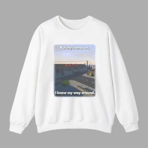 Not My Home But I Know My Way Around Shirt 3