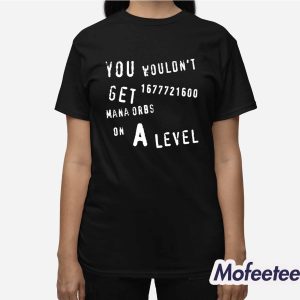 You Wouldn't Get 1677721600 Mana Orbs On A Level Shirt 3