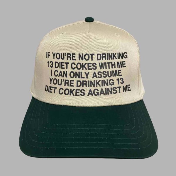 If You’re Not Drinking 13 DCs With Me I Can Only Assume You’re Drinking 13 DCs Against Me Hat