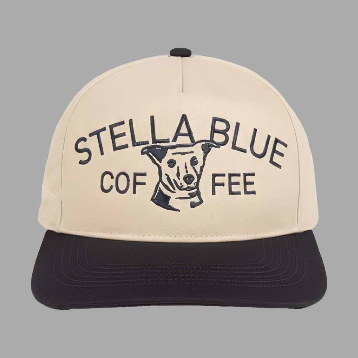 Dan Katz Big Cat Stella Blue Coffee Hat Dan Katz Big Cat Stella Blue Coffee Hat