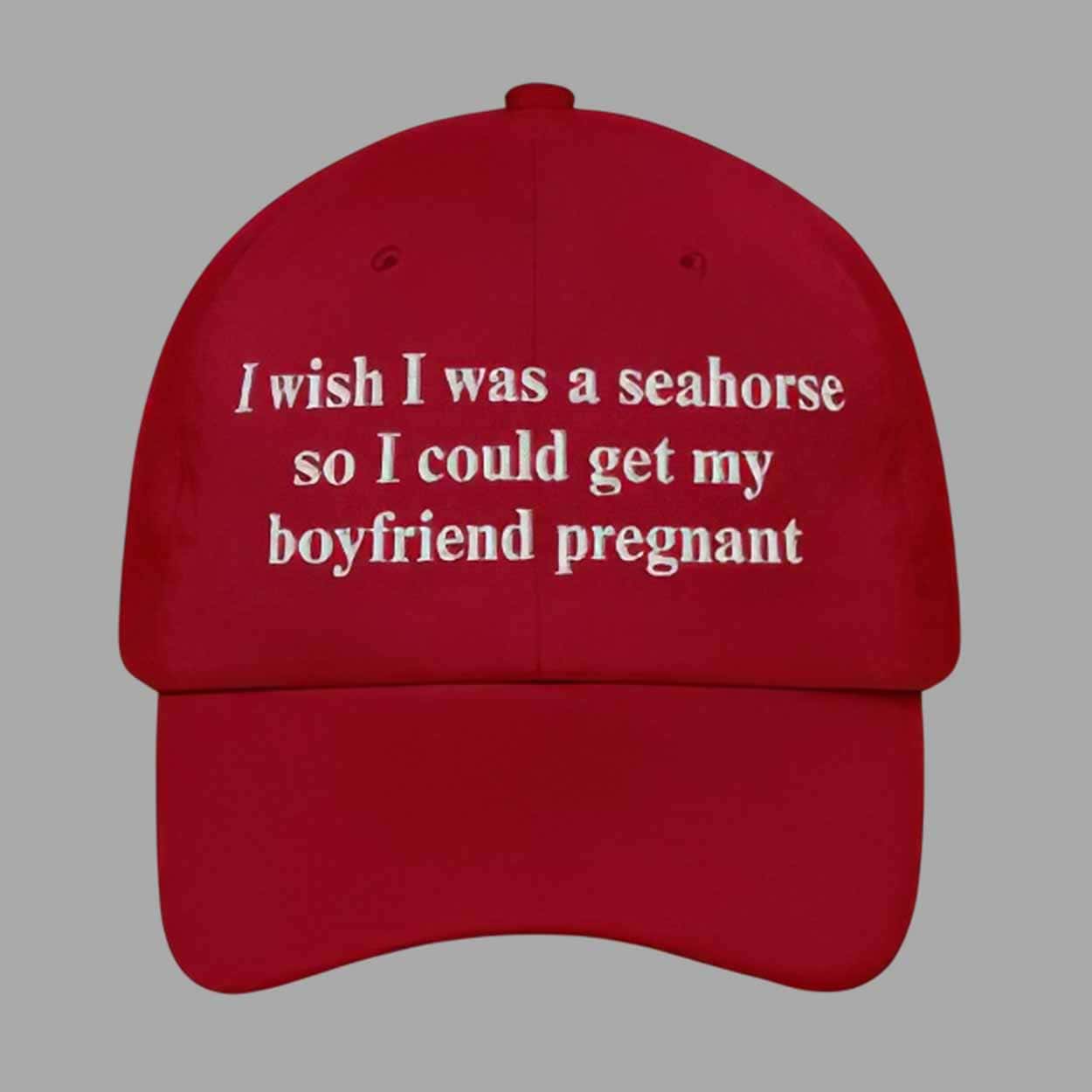 I Wish I Was A Seahorse So I Could Get My Boyfriend Pregnant Hat I Wish I Was A Seahorse So I Could Get My Boyfriend Pregnant Hat