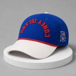 Coney Island Night Upside Down 2026 Cap
